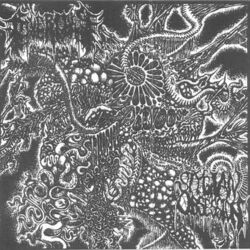 Cover of Heralds of Affliction