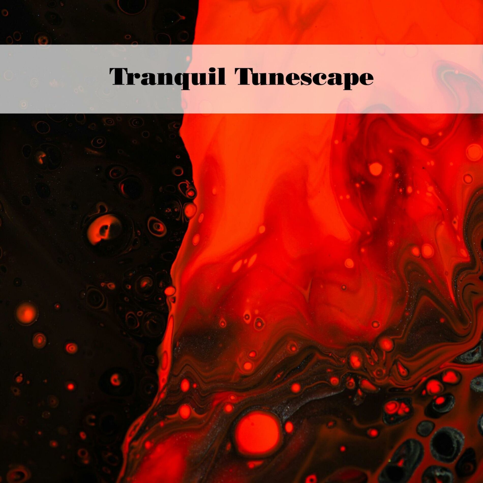 Album cover of Tranquil Tunescape