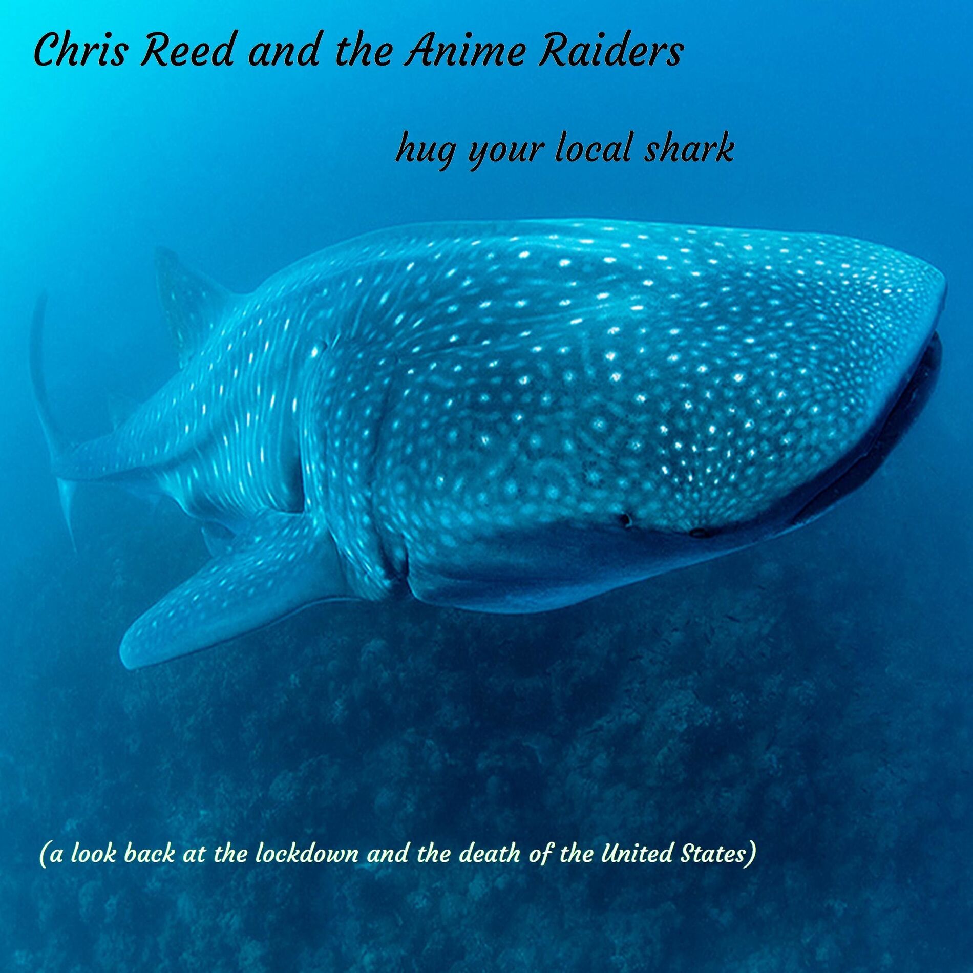 Album cover of hug your local shark