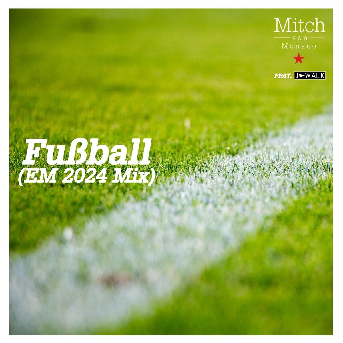 Album cover of Fußball (EM 2024 Mix)