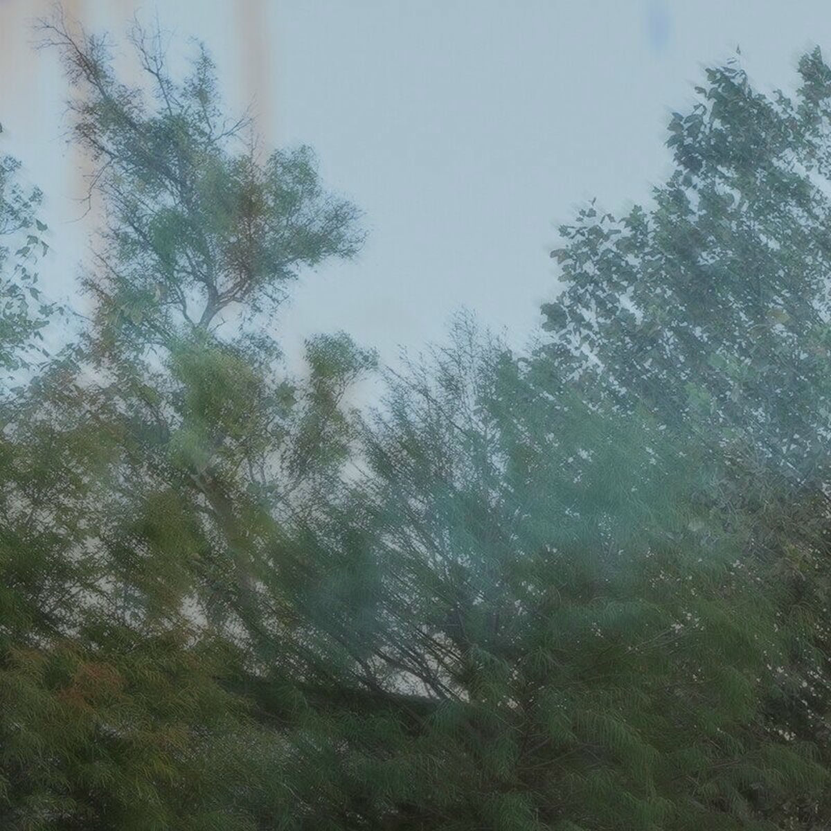 Album cover of Tarde Ámbar Vol. 2 (Acústico en Vivo)