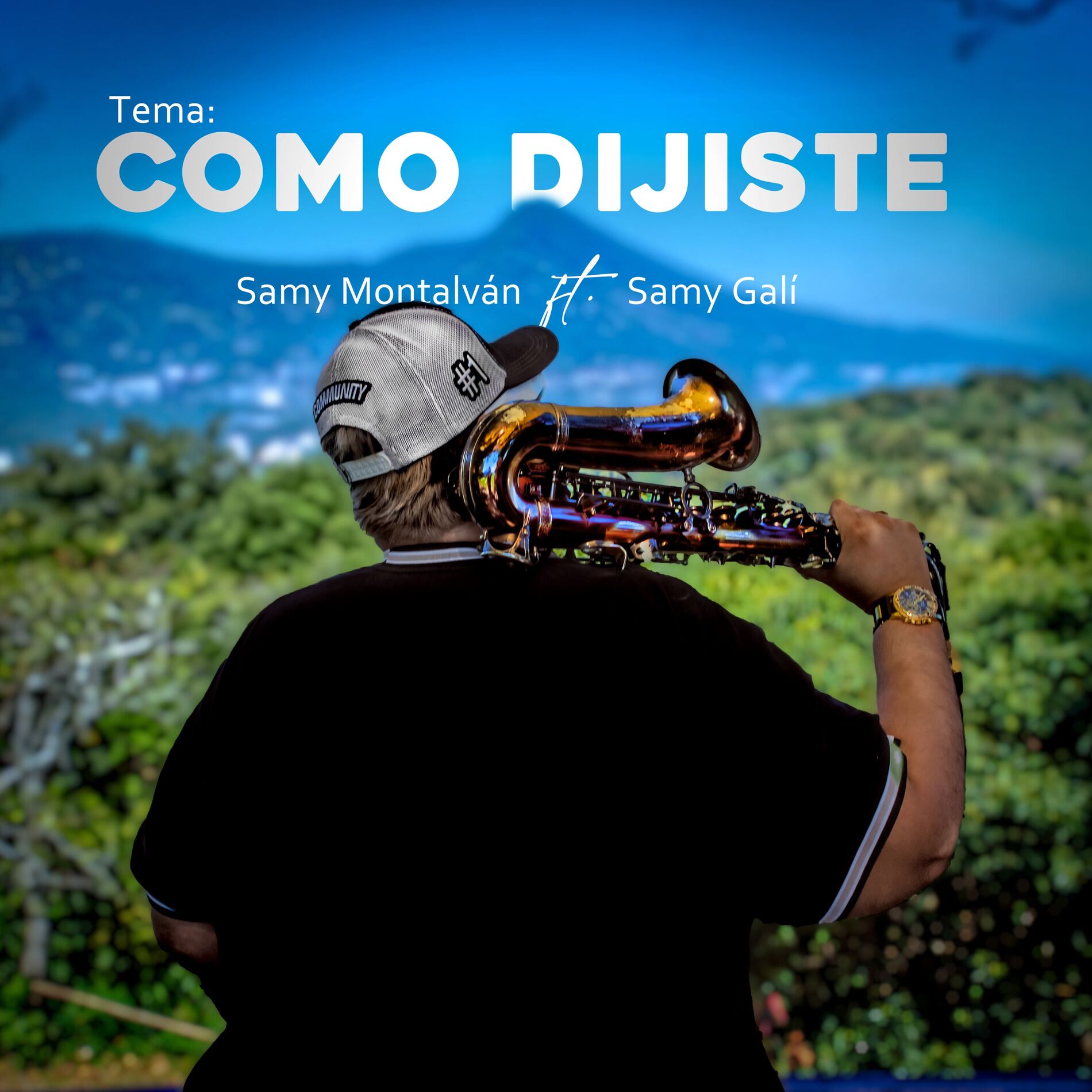 Album cover of Como Dijiste (Instrumental)