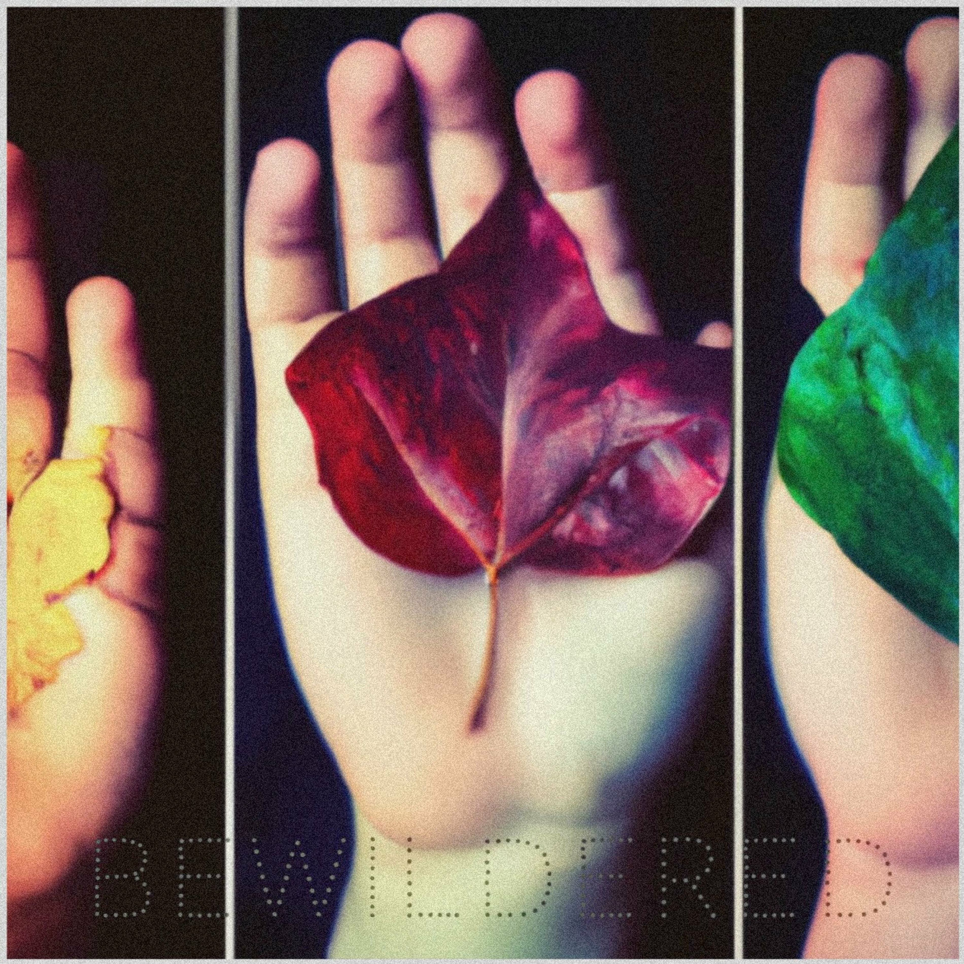 Album cover of Bewildered