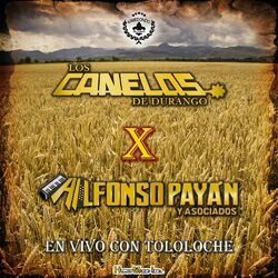 Cover of En Vivo Con Tololoche