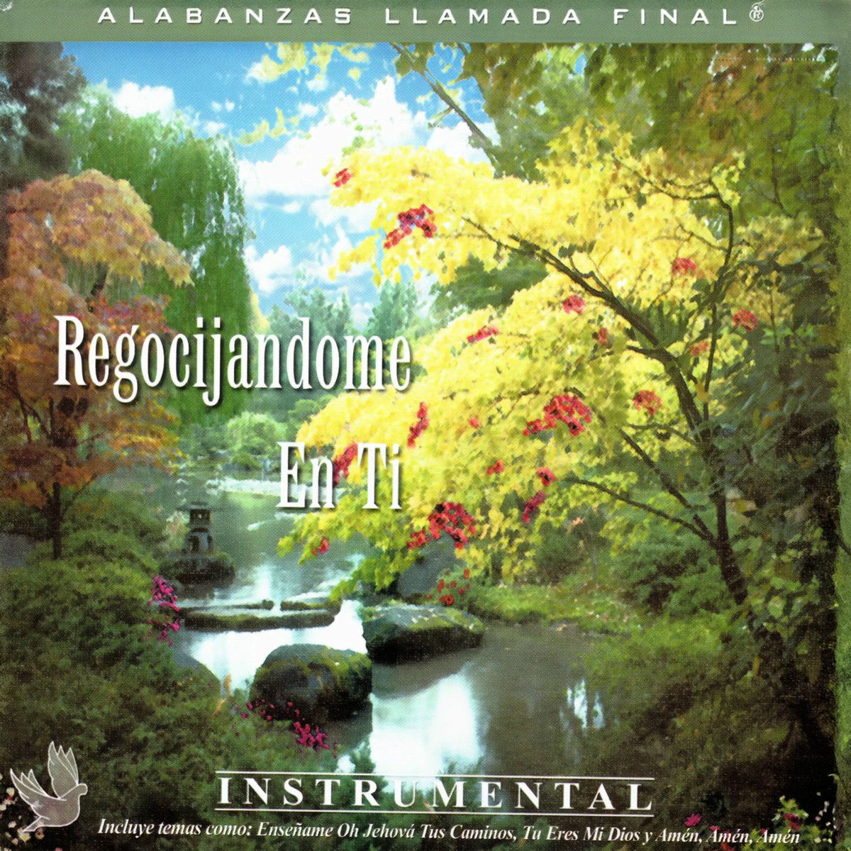 Album cover of Regocijándome En Ti (Instrumental)