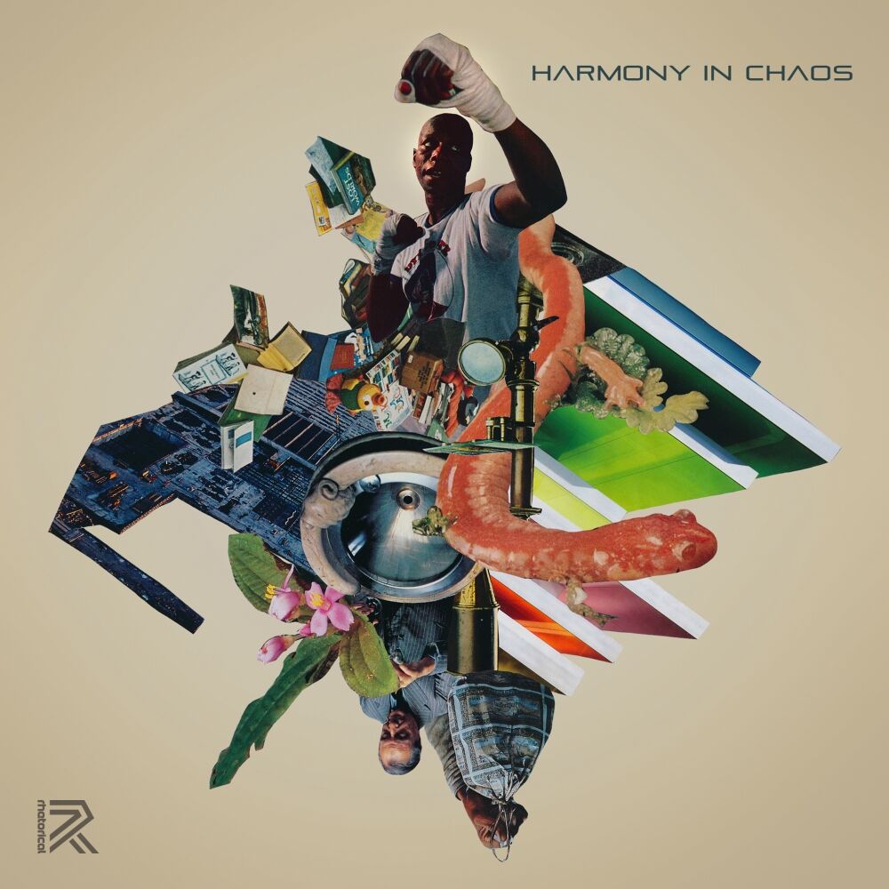Picture of Harmony In Chaos