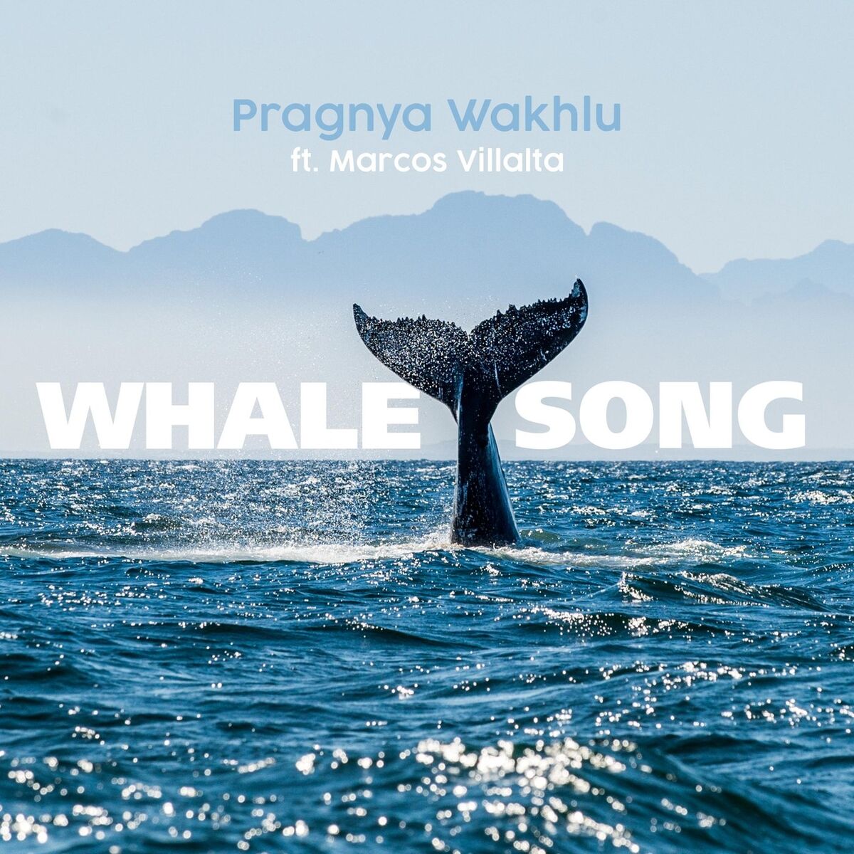 Album cover of Whale Song