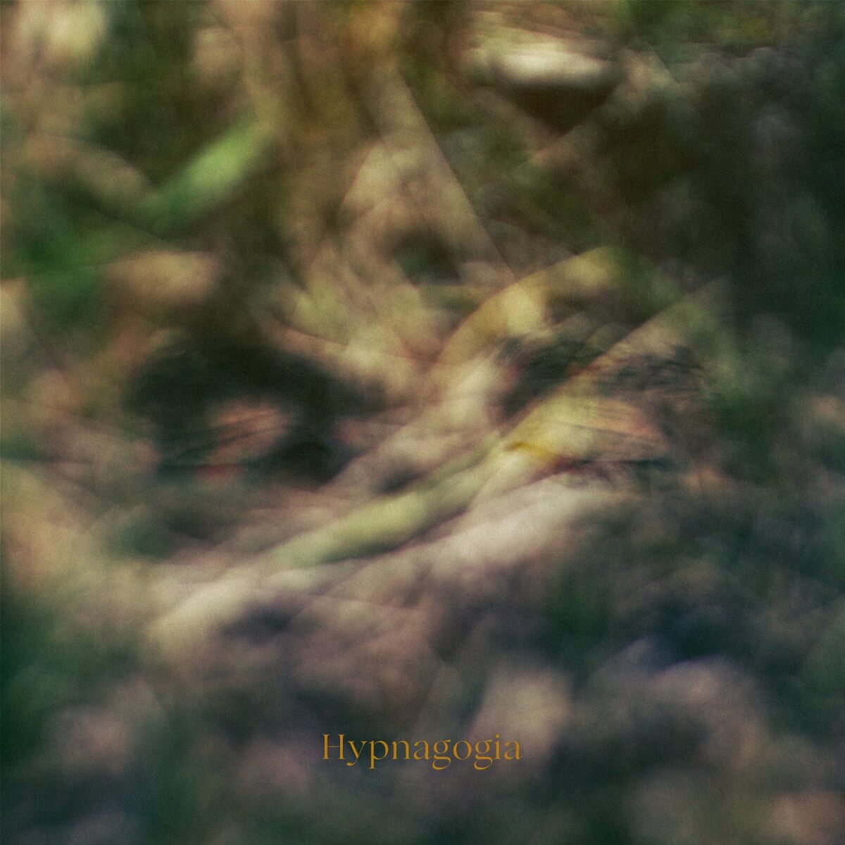 Album cover of Hypnagogia