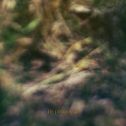 Cover of Hypnagogia