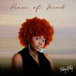Cover of Peace of Mind (Remixes)