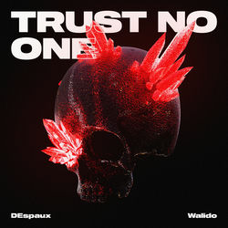 Cover of Trust No One by undefined