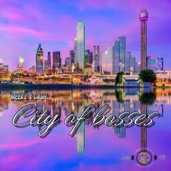 Cover of City of bosses