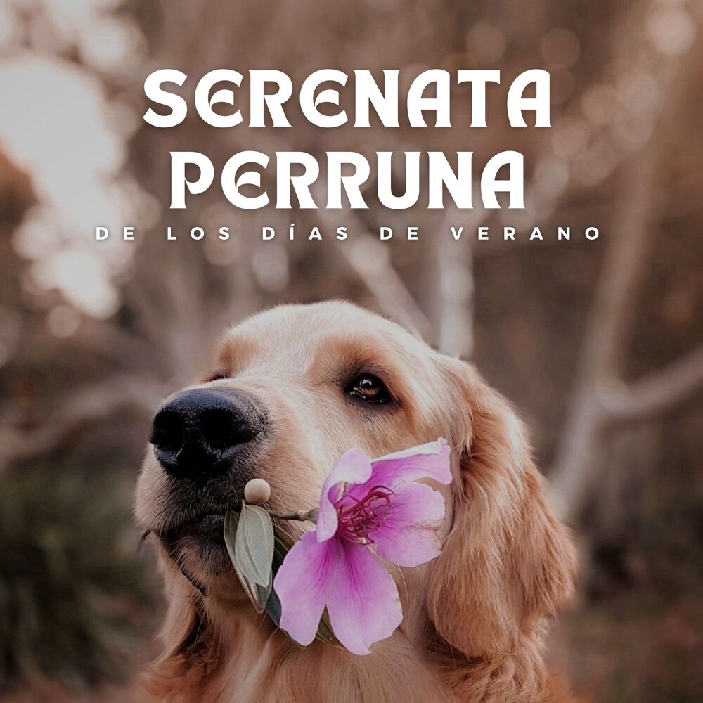 Picture of Serenata Perruna de los Días de Verano