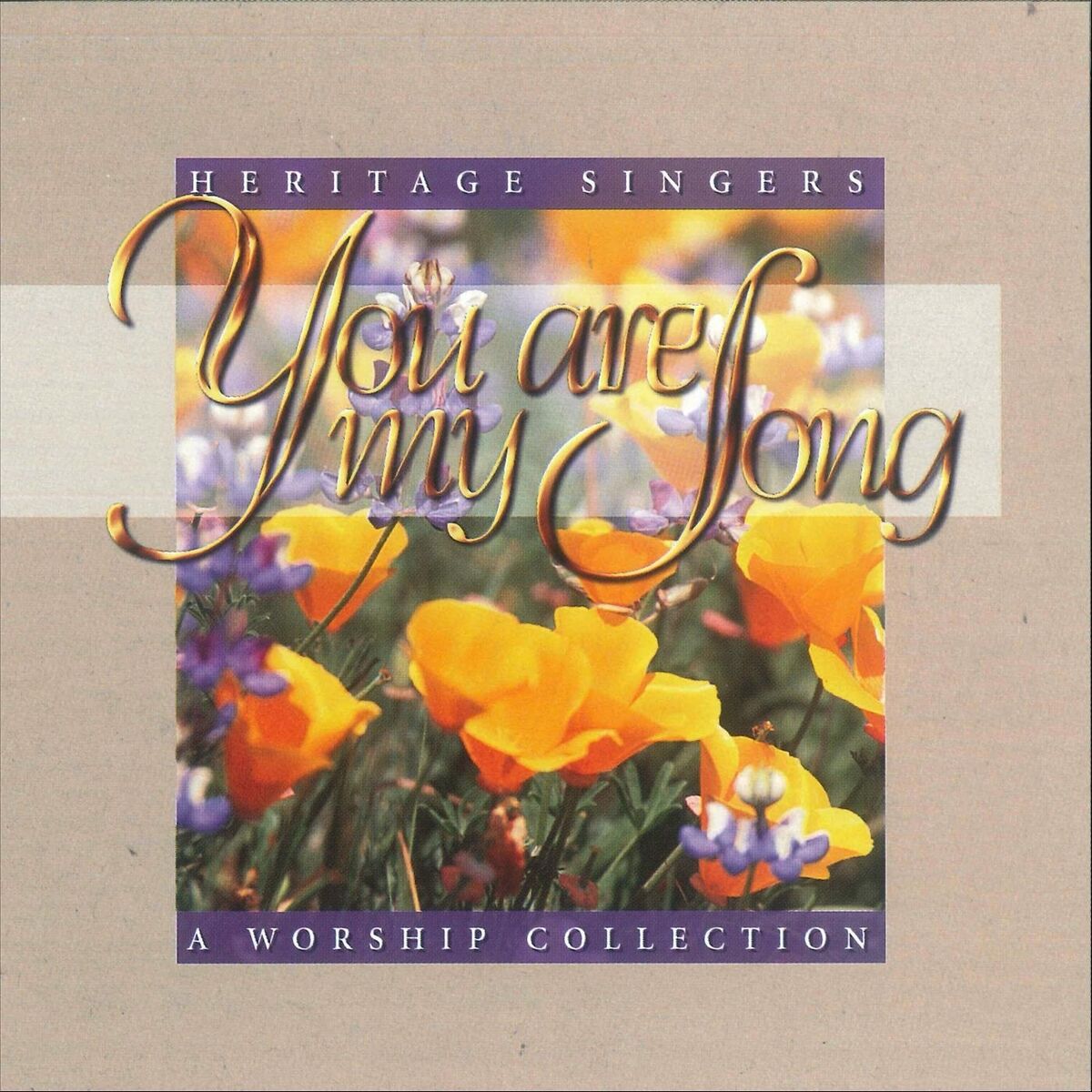 Album cover of You Are My Song