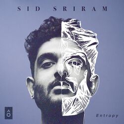 Cover of Entropy