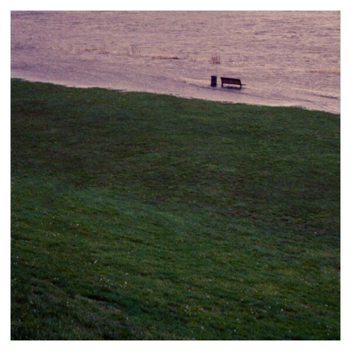 Album cover of Silberfische