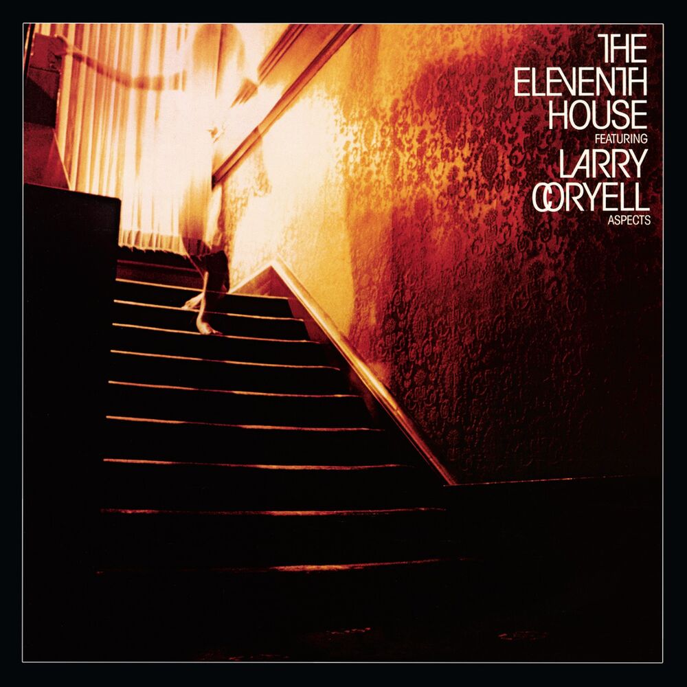Picture of Aspects (feat. Larry Coryell)