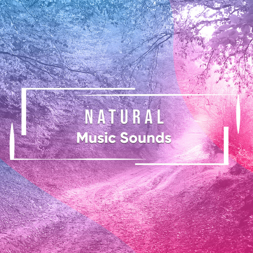 Picture of #17 Natural Music Sounds for Sleep or Meditation
