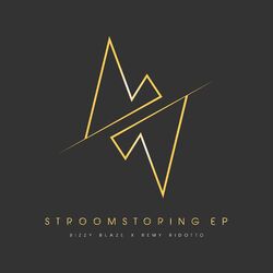 Cover of Stroomstoring
