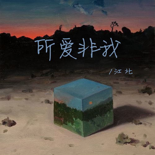 所爱非我