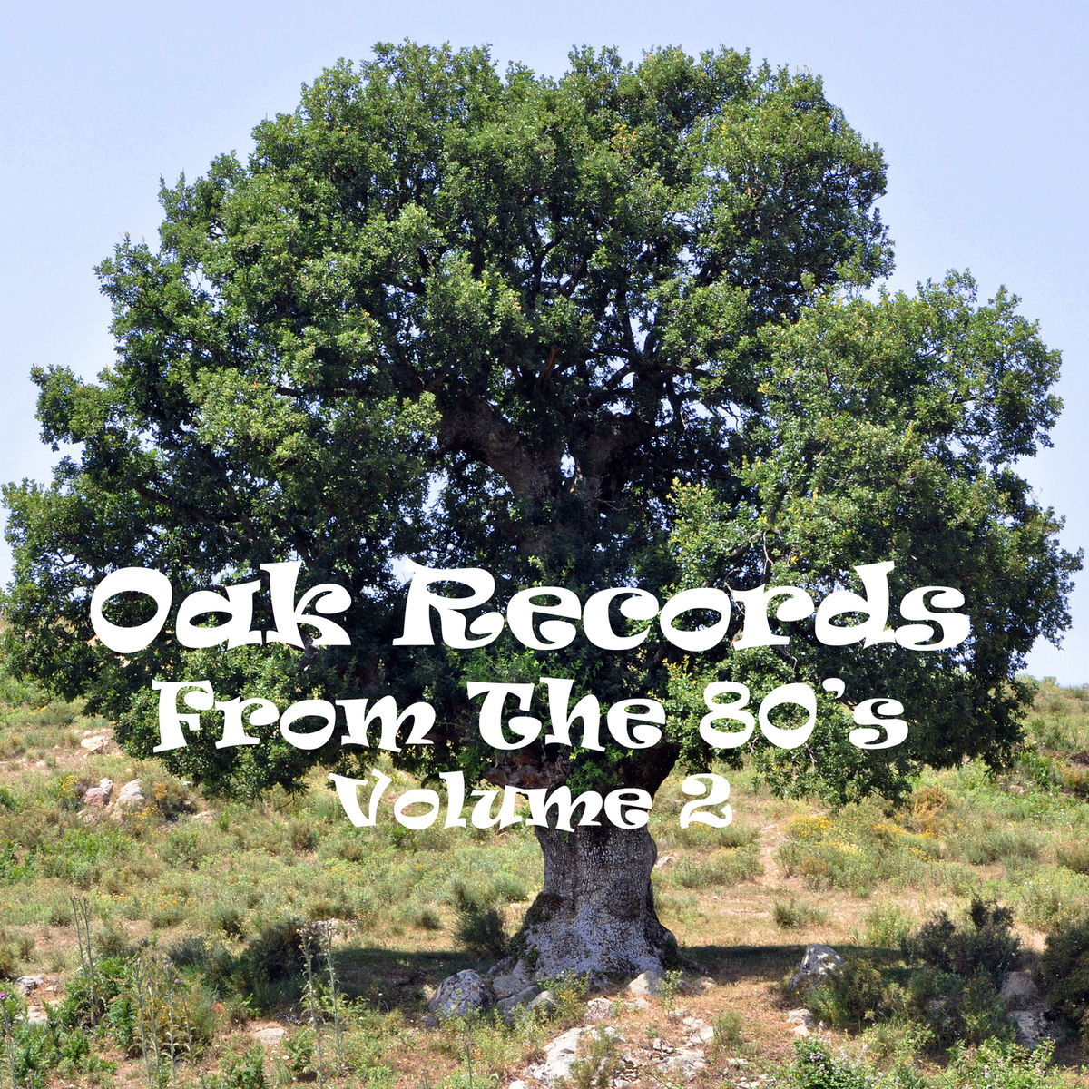 Album cover of Oak Records from the 80's Vol. 2