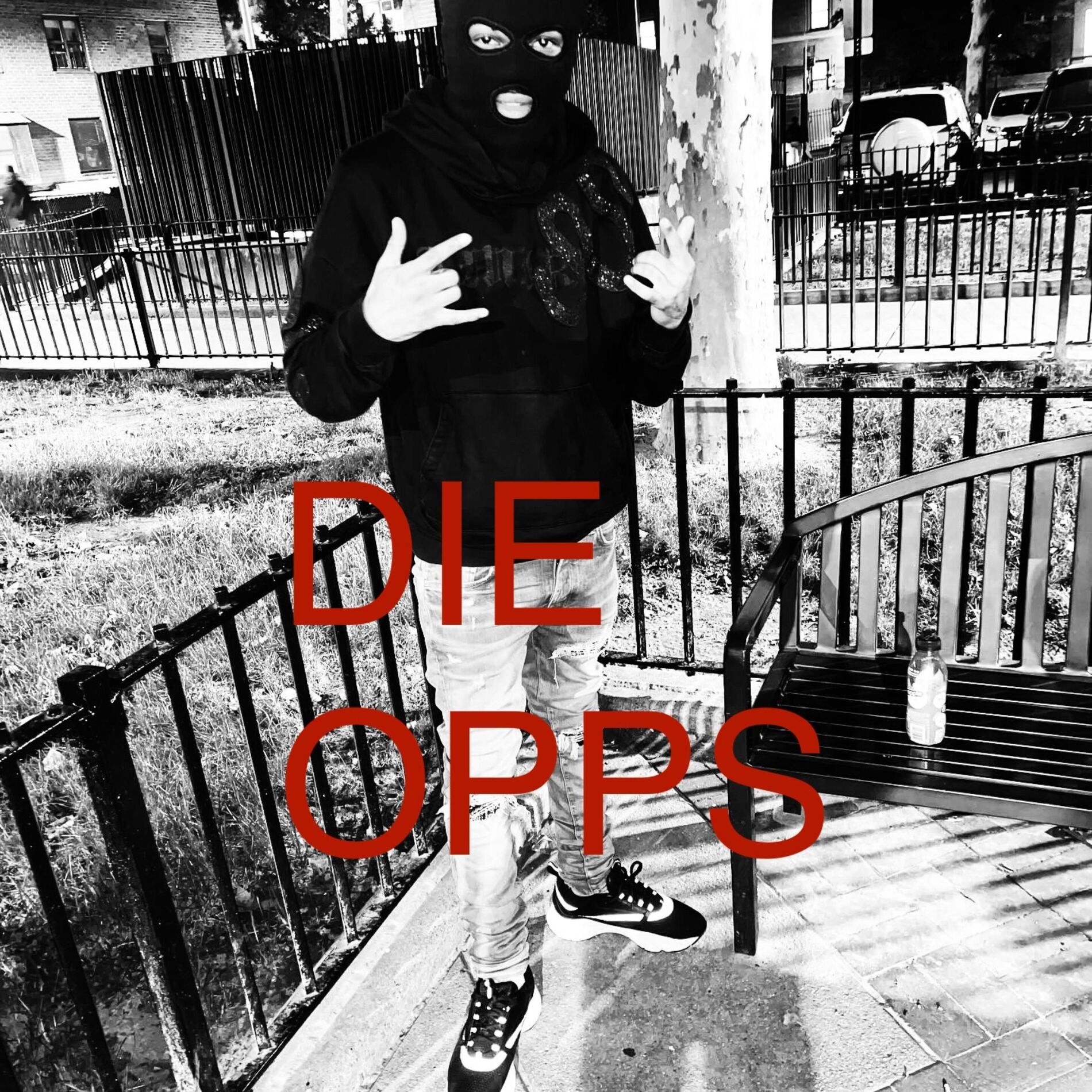 Album cover of DIE OPPS