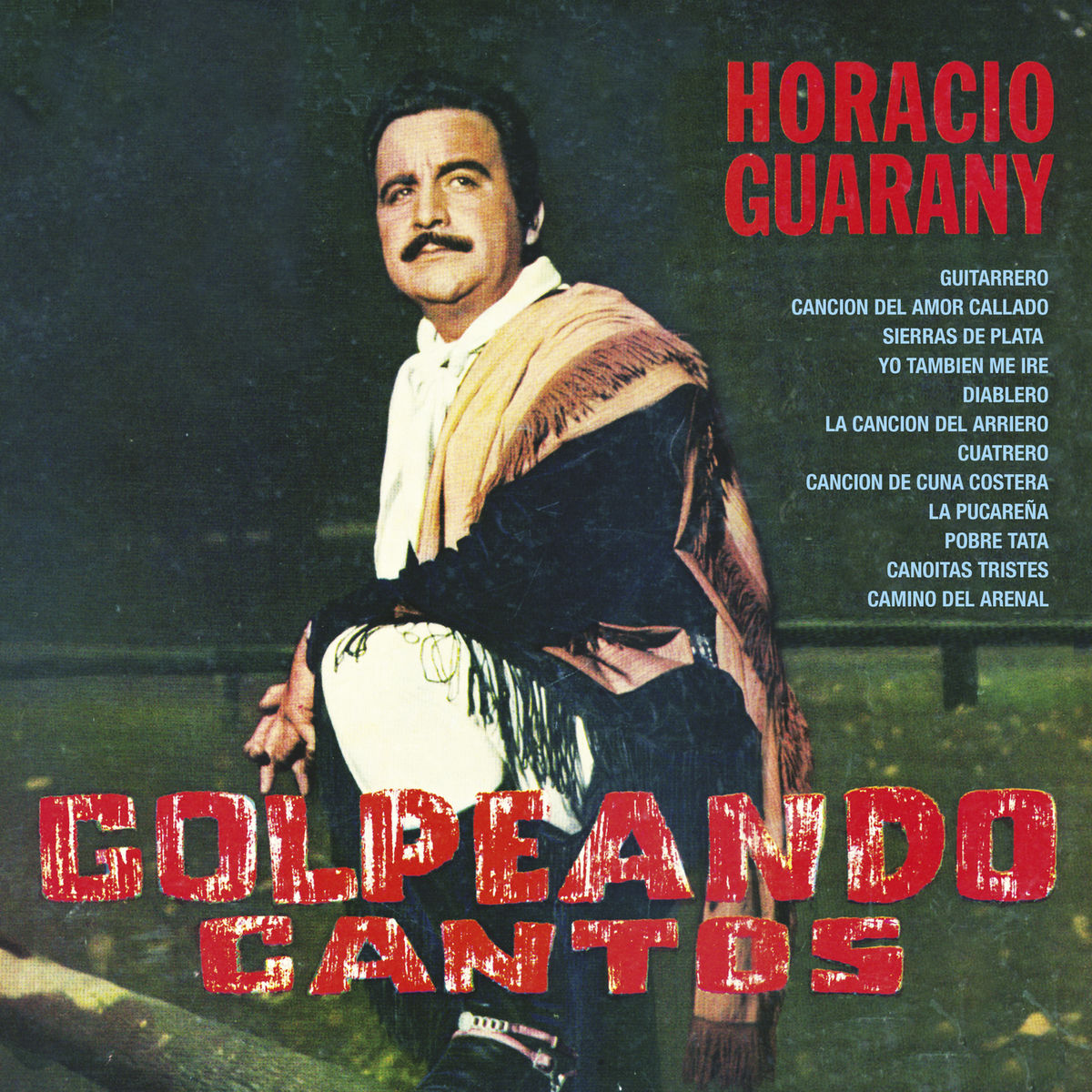 Album cover of Golpeando Cantos