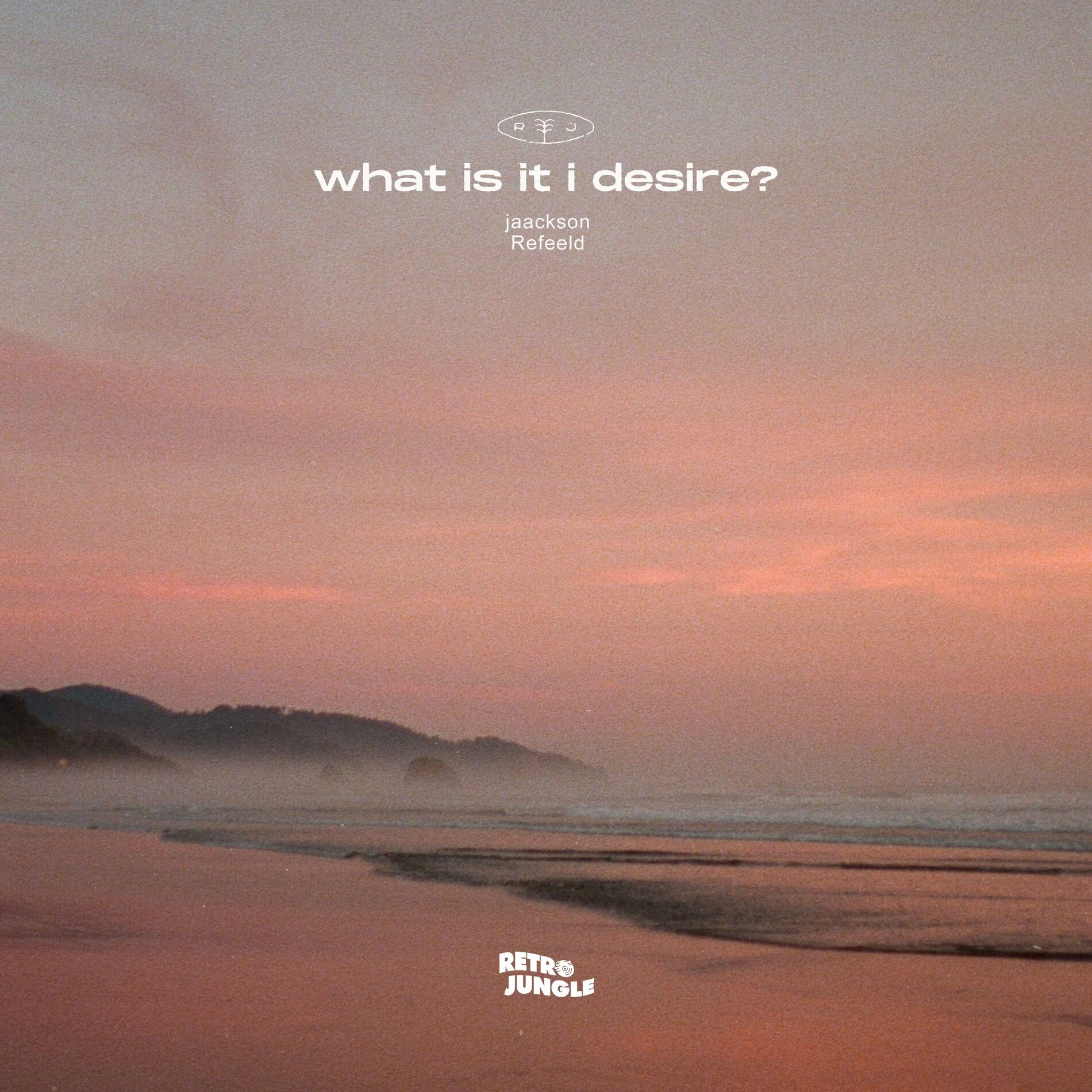 Album cover of what is it i desire?