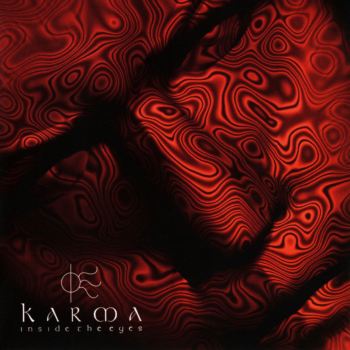 Album cover of Inside The Eyes