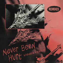 Cover of Never Been Hurt (Remixes)