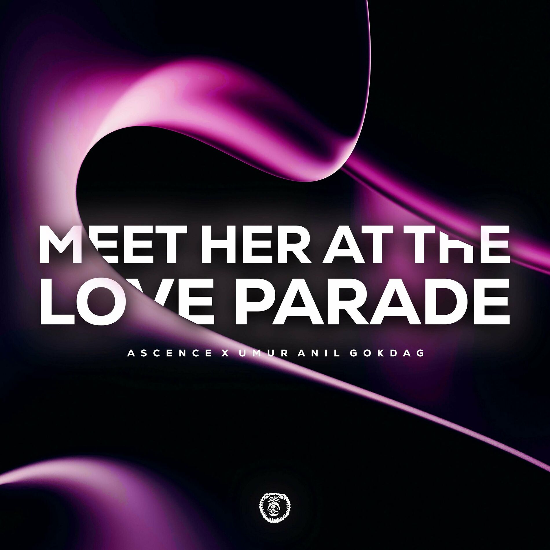 Album cover of Meet Her At The Love Parade