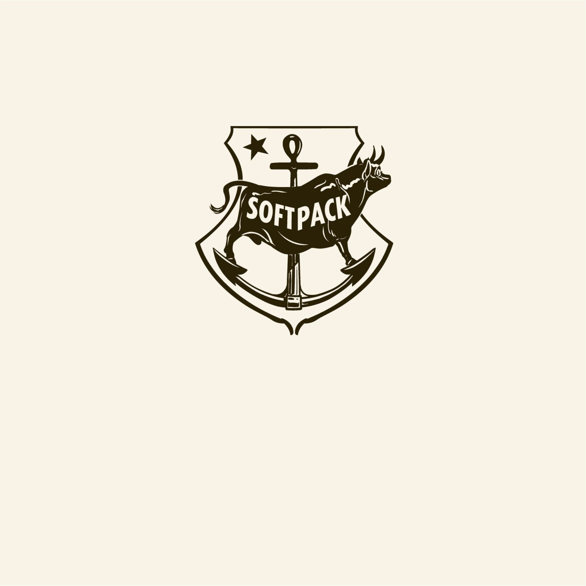 Album cover of The Soft Pack