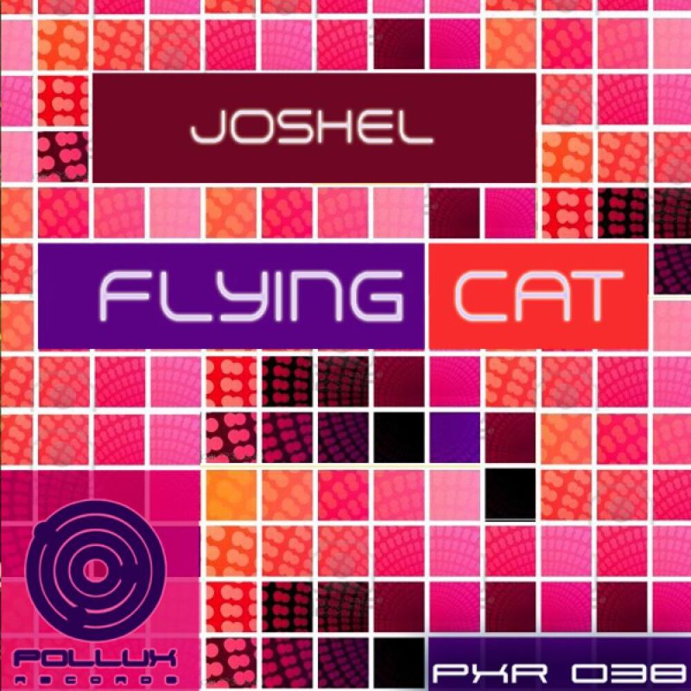 Picture of Flying Cat