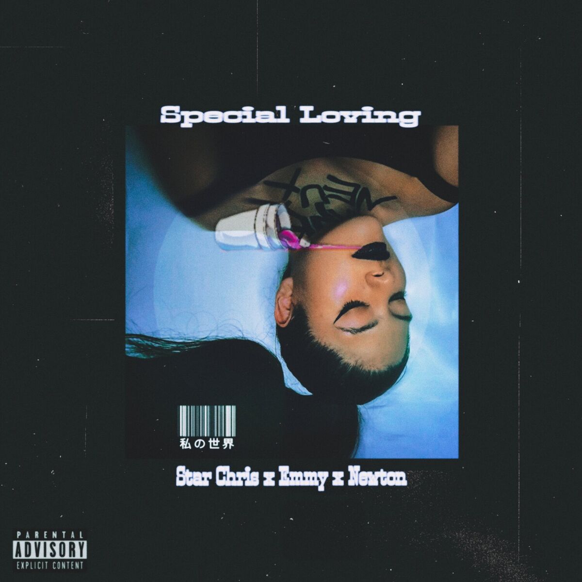 Album cover of Special Loving
