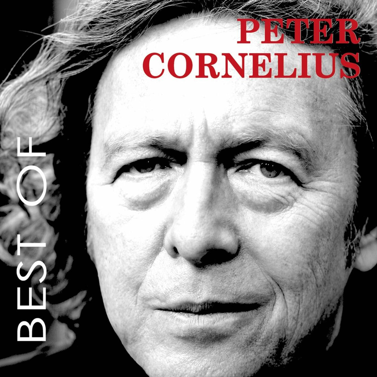 Album cover of Best Of - 36 Grosse Songs