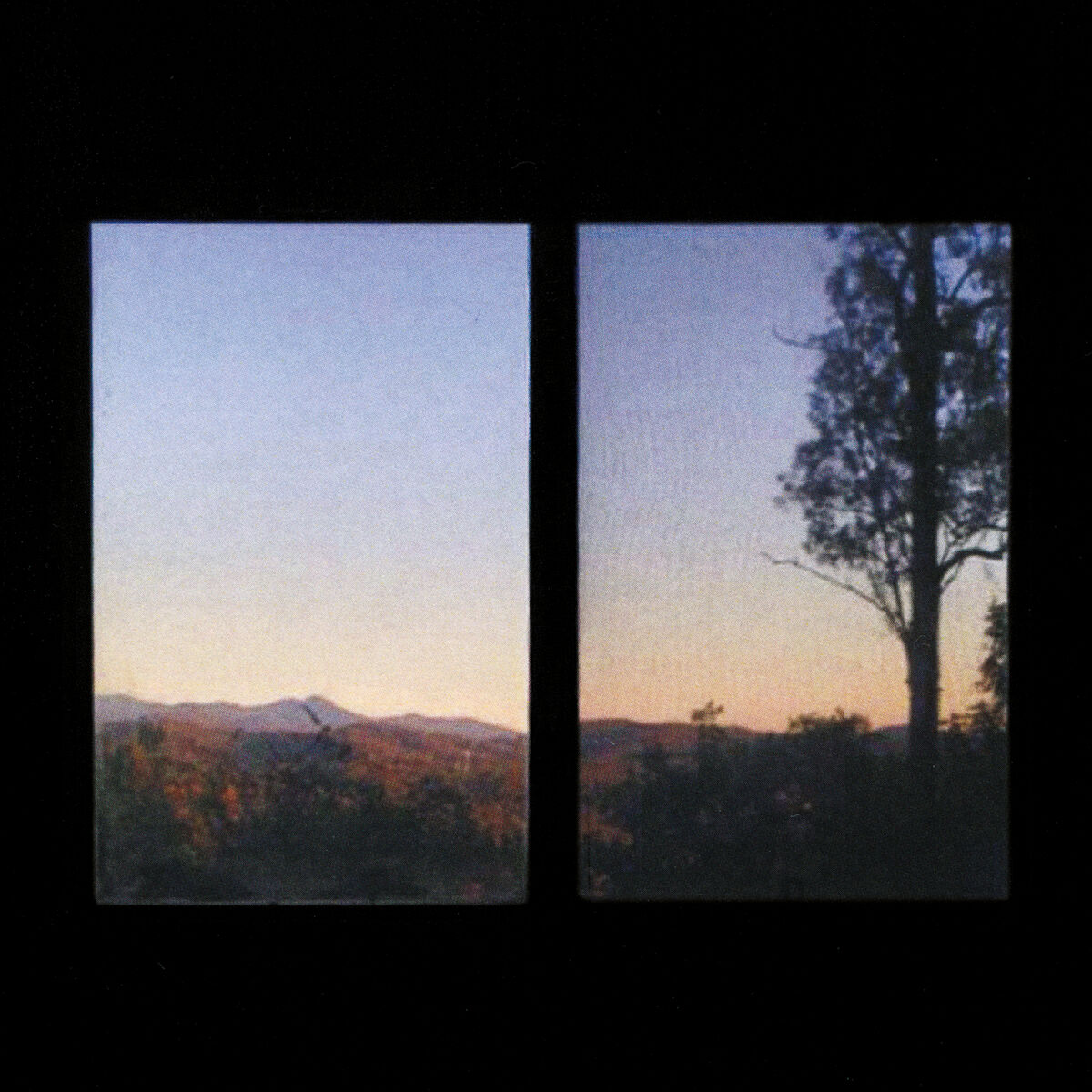 Album cover of A Lotta Things