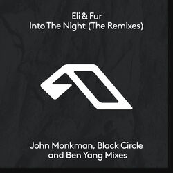 Cover of Into The Night (The Remixes)