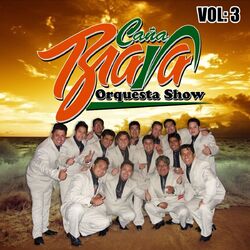 Cover of Vol.3