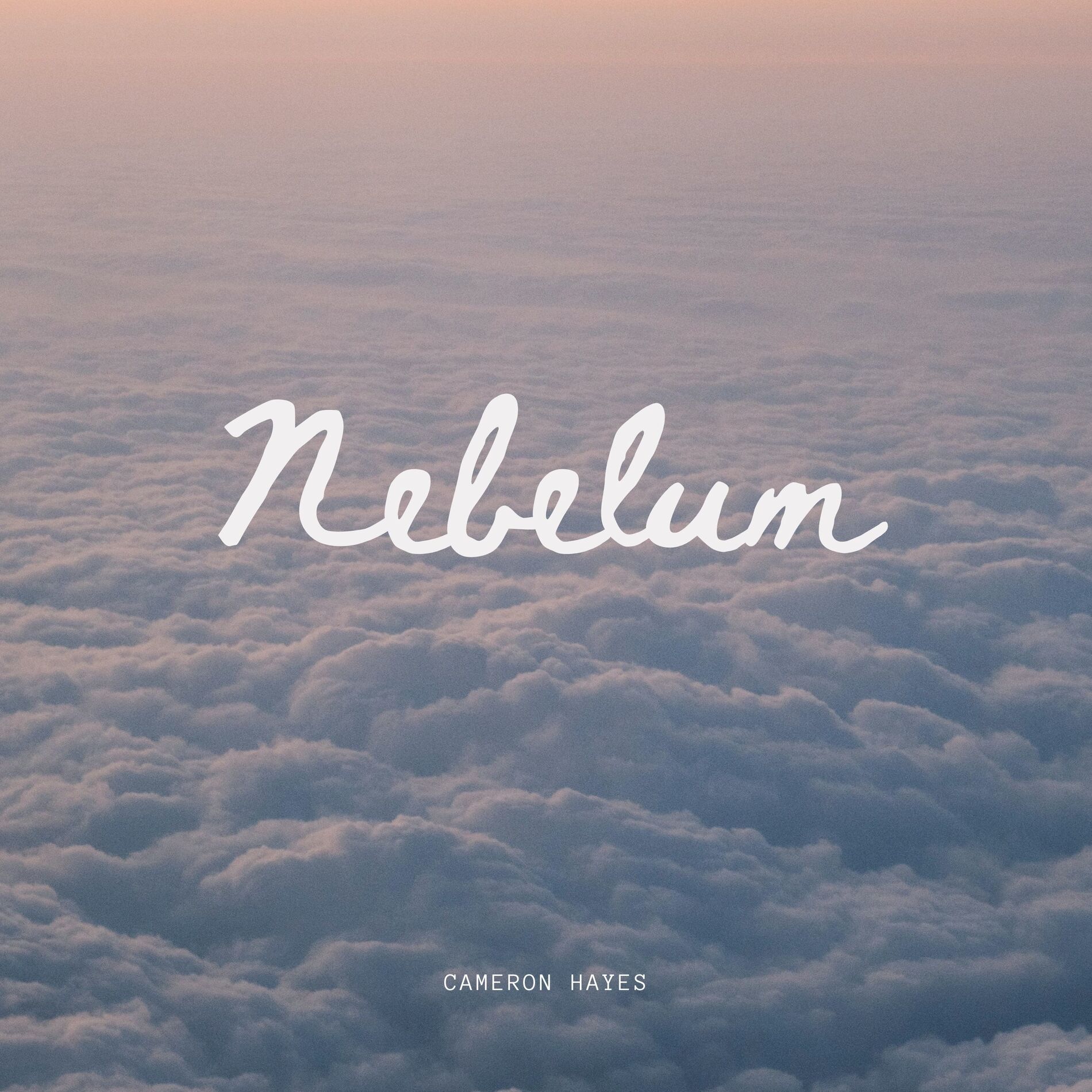 Album cover of Nebelum