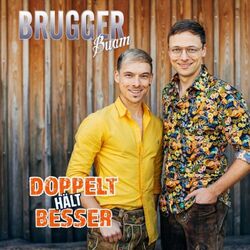 Cover of Doppelt hält besser
