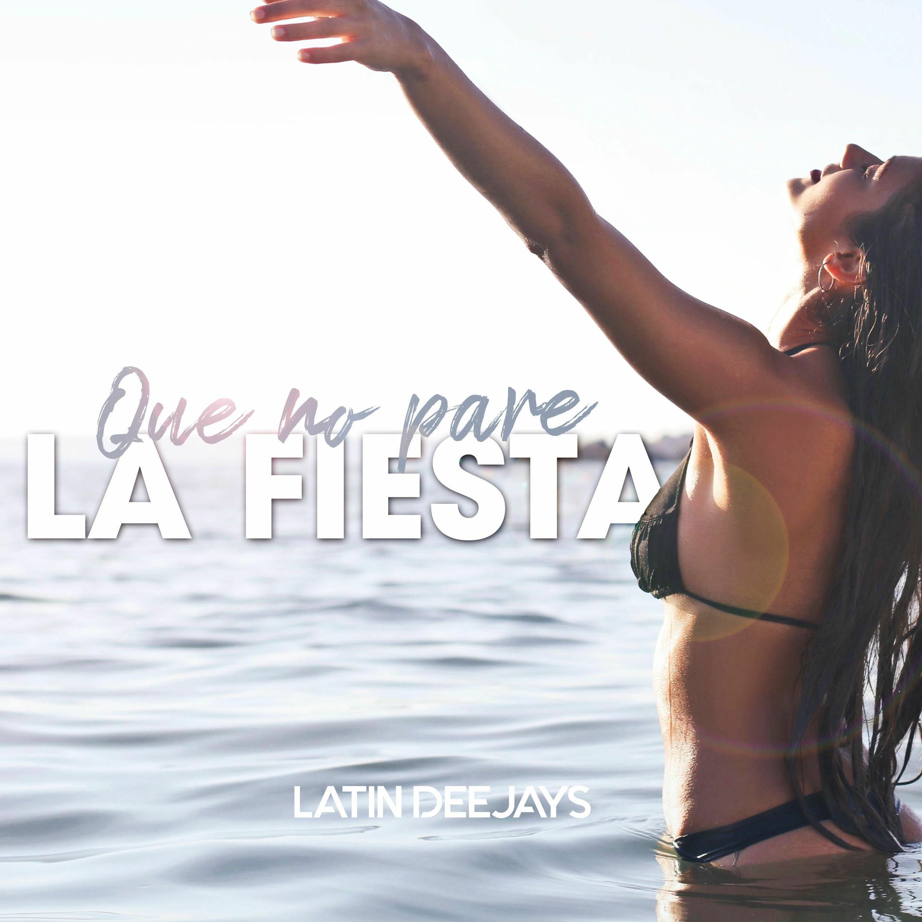 Album cover of Que No Pare La Fiesta
