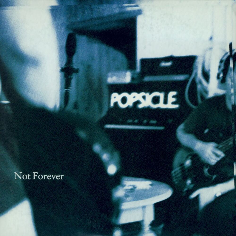 Picture of Not Forever