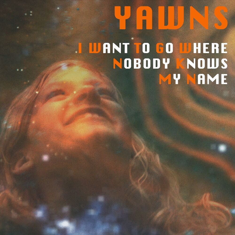 Picture of I Want To Go Where Nobody Knows My Name