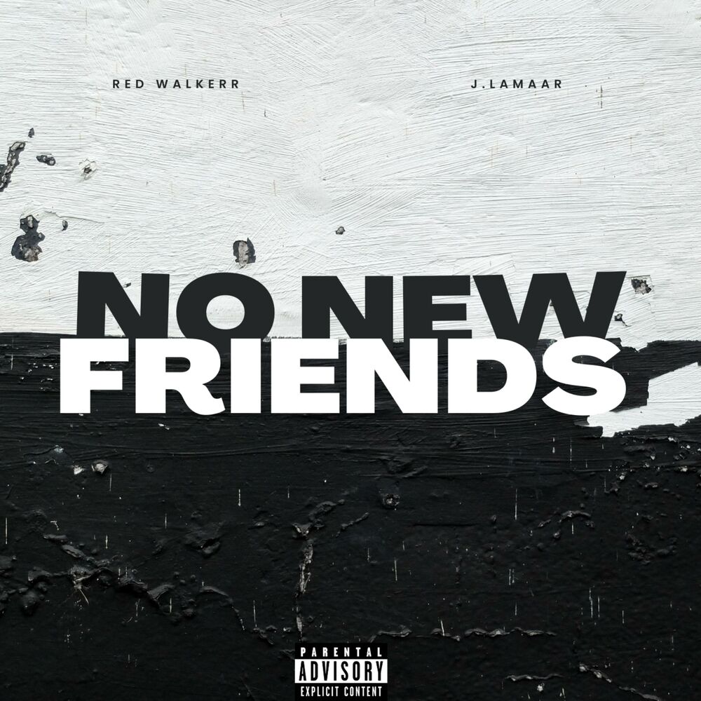 Picture of NO NEW FRIENDS