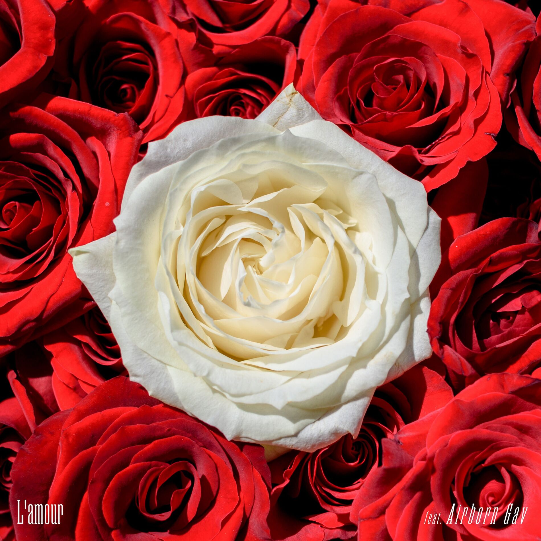 Album cover of L’amour