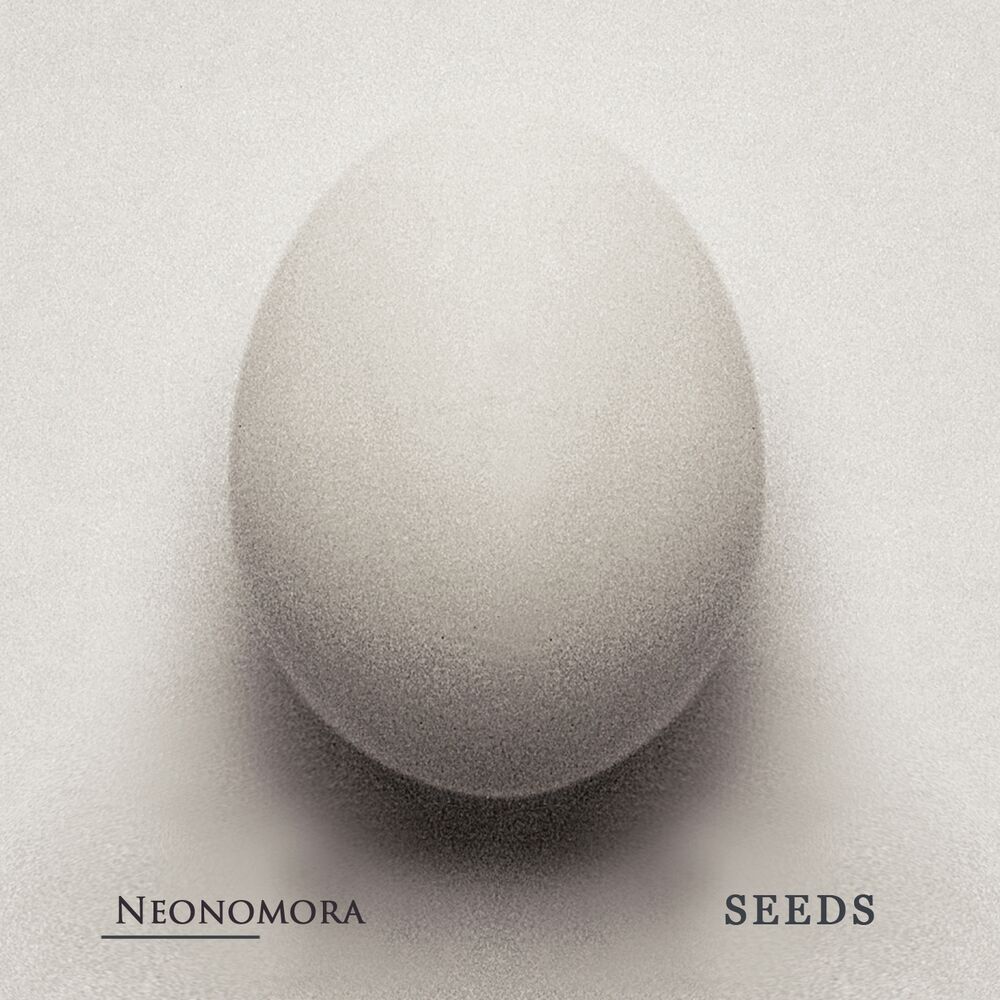 Picture of Seeds