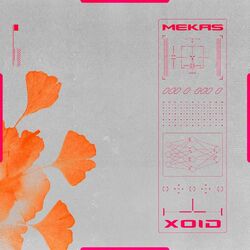 Cover of Xoid