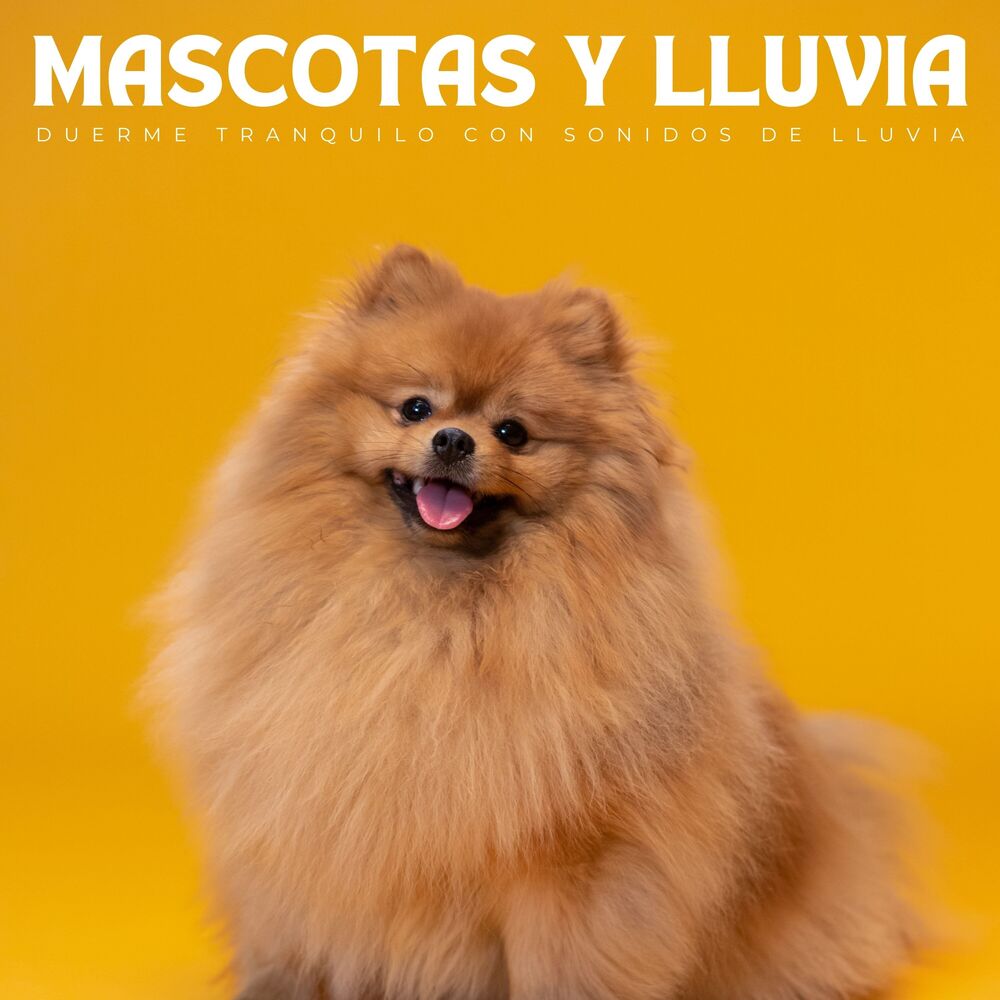 Picture of Mascotas Y Lluvia: Duerme Tranquilo Con Sonidos De Lluvia