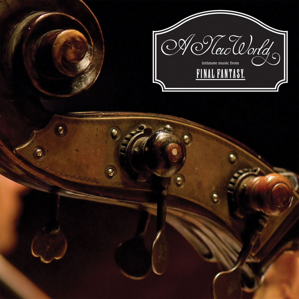 Album cover of A New World: Intimate Music from Final Fantasy
