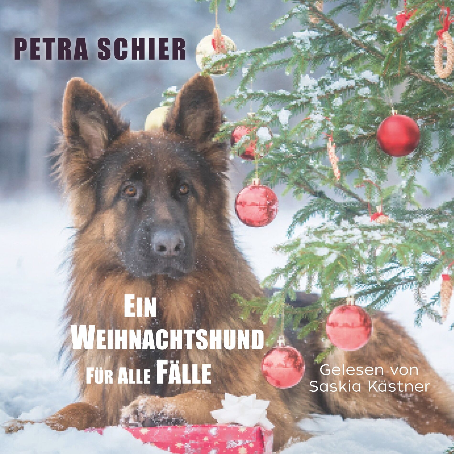 Album cover of Ein Weihnachtshund für alle Fälle